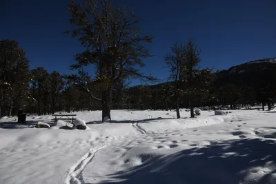 DSC_4904 (Large).JPG